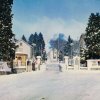 Les Caïmans dans la neige